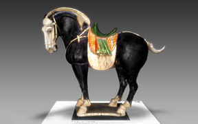 thumb_national_treasure